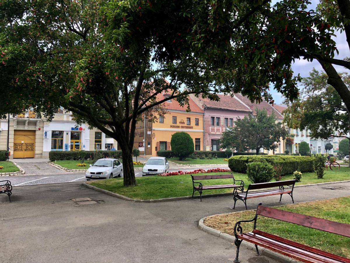 Voeroes Guest House Tîrgu Secuiesc Dış mekan fotoğraf