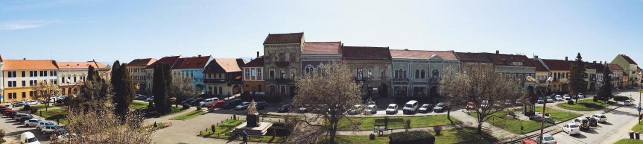 Voeroes Guest House Tîrgu Secuiesc Dış mekan fotoğraf