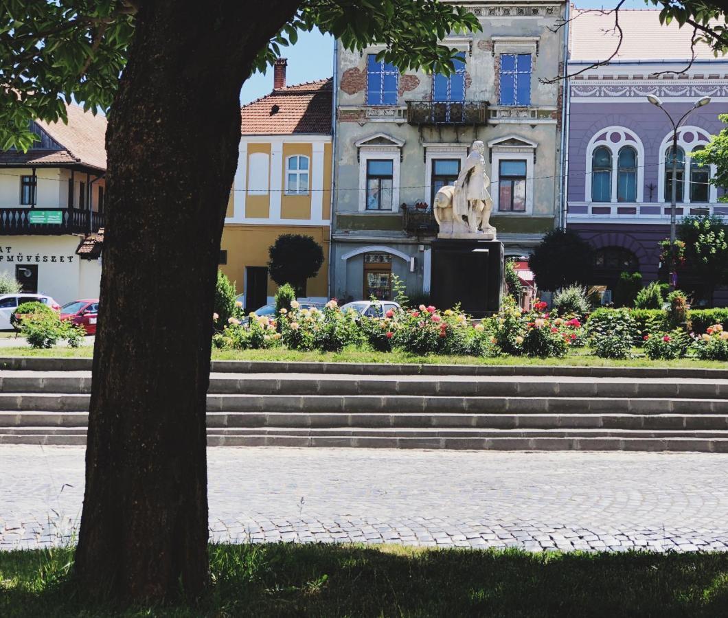 Voeroes Guest House Tîrgu Secuiesc Dış mekan fotoğraf