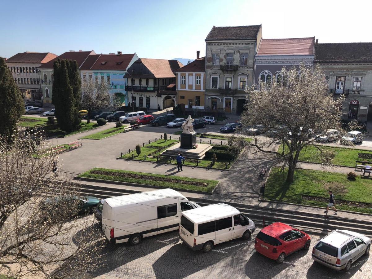 Voeroes Guest House Tîrgu Secuiesc Dış mekan fotoğraf