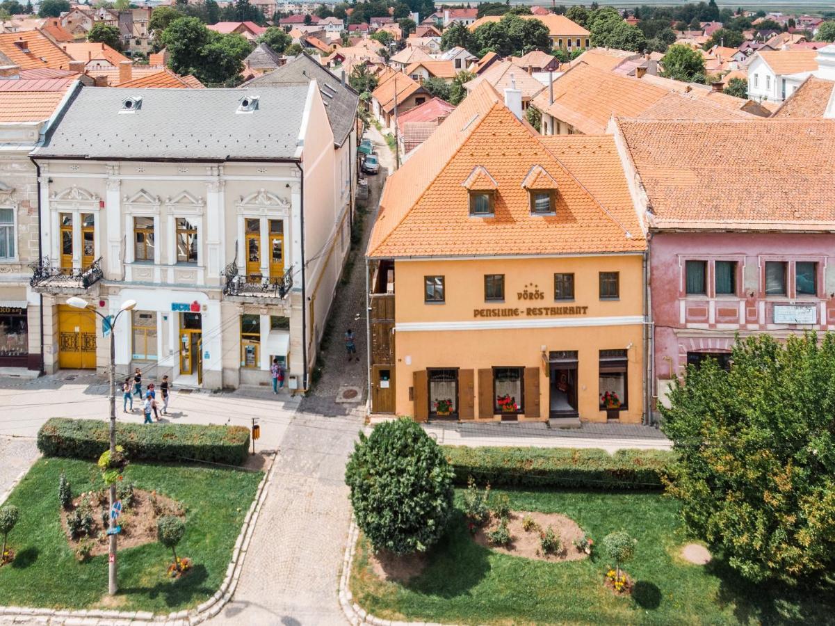 Voeroes Guest House Tîrgu Secuiesc Dış mekan fotoğraf